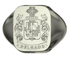 Silver Family Crest Rings