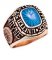 Air Force Ring - 10k Solid Gold